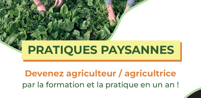 Titre PP plaquette